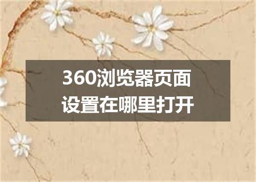 360浏览器页面设置在哪里打开