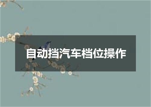 自动挡汽车档位操作