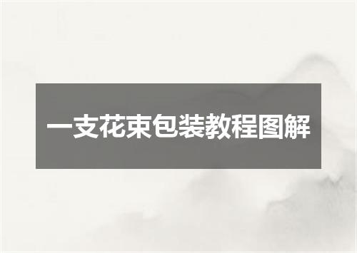 一支花束包装教程图解