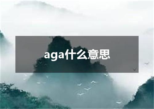 aga什么意思