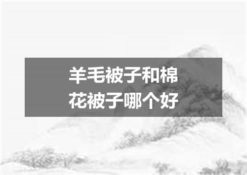 羊毛被子和棉花被子哪个好