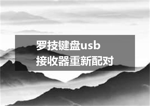 罗技键盘usb接收器重新配对