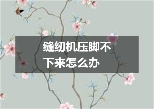 缝纫机压脚不下来怎么办