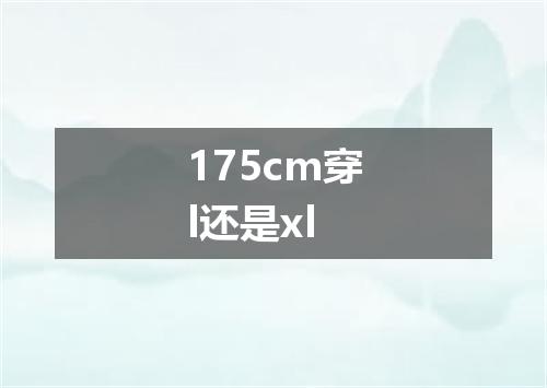 175cm穿l还是xl