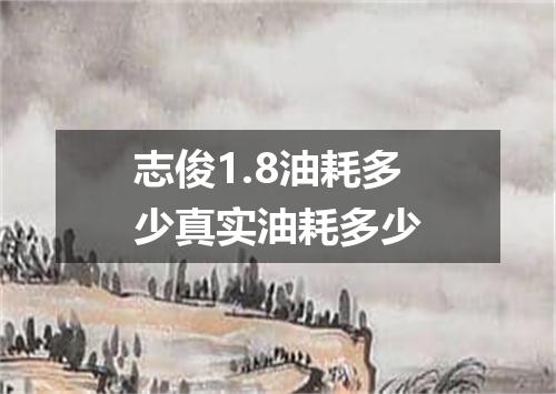 志俊1.8油耗多少真实油耗多少