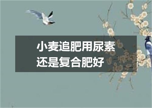 小麦追肥用尿素还是复合肥好