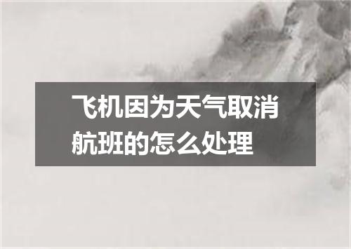 飞机因为天气取消航班的怎么处理