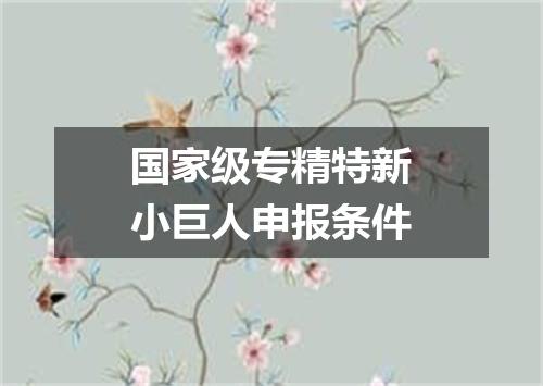 国家级专精特新小巨人申报条件