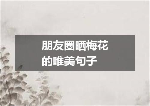 朋友圈晒梅花的唯美句子