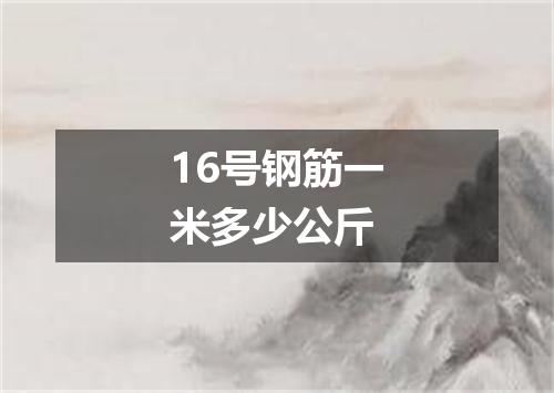 16号钢筋一米多少公斤