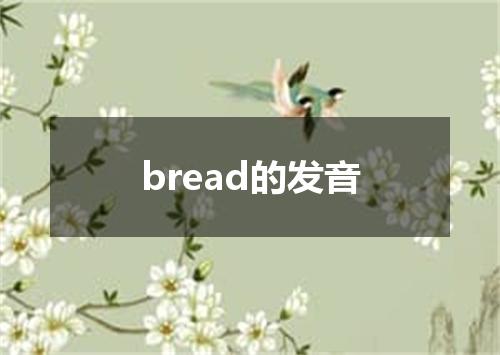 bread的发音