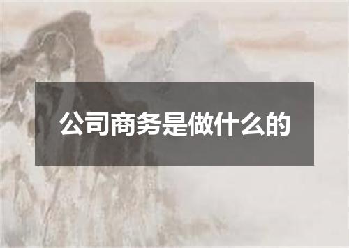 公司商务是做什么的