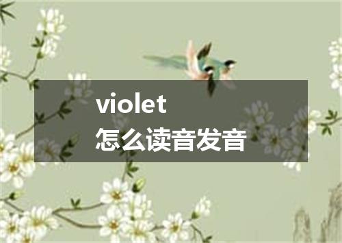 violet怎么读音发音