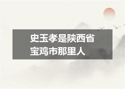 史玉孝是陕西省宝鸡市那里人