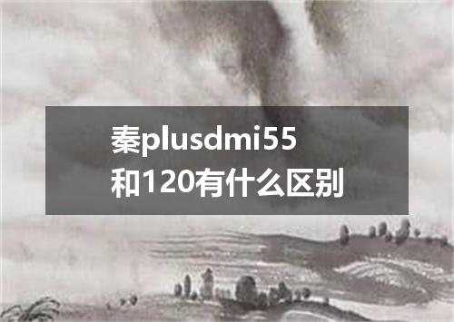 秦plusdmi55和120有什么区别