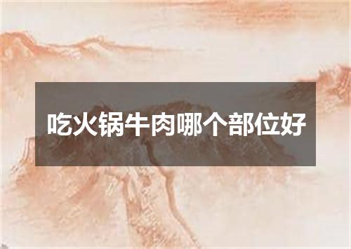 吃火锅牛肉哪个部位好