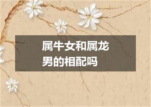 属牛女和属龙男的相配吗