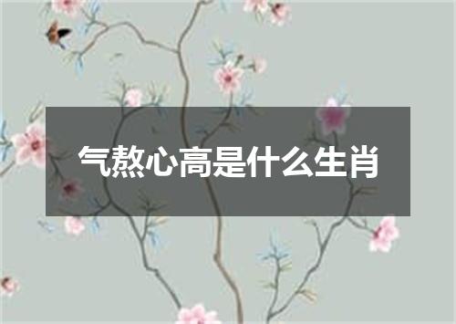 气熬心高是什么生肖