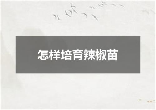 怎样培育辣椒苗