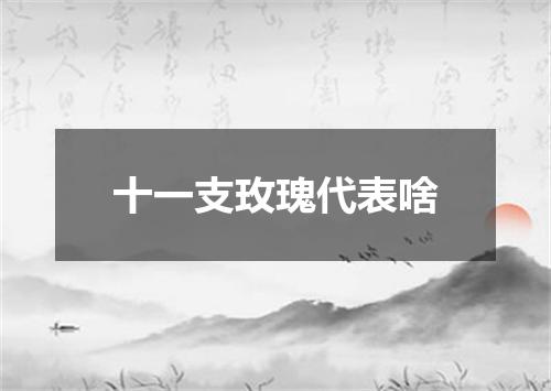 十一支玫瑰代表啥