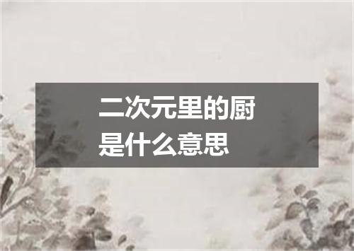 二次元里的厨是什么意思