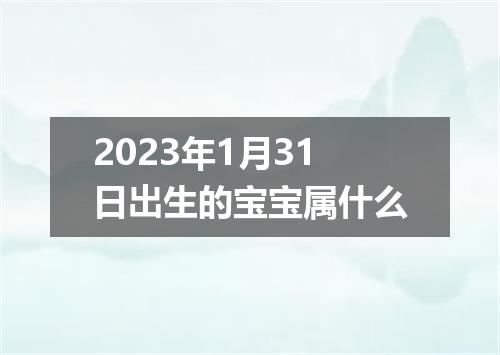 2023年1月31日出生的宝宝属什么