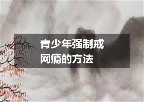 青少年强制戒网瘾的方法