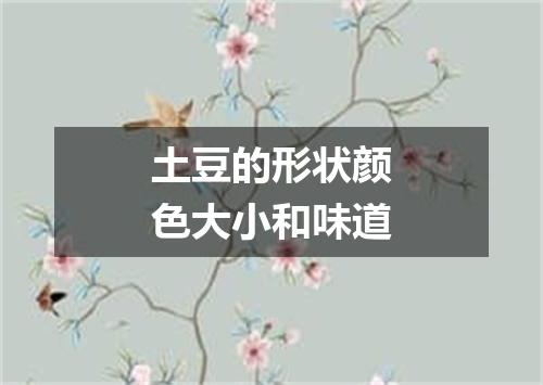 土豆的形状颜色大小和味道