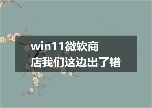 win11微软商店我们这边出了错