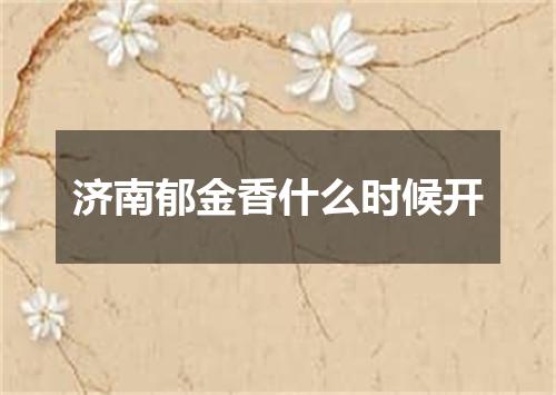 济南郁金香什么时候开