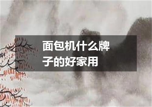 面包机什么牌子的好家用