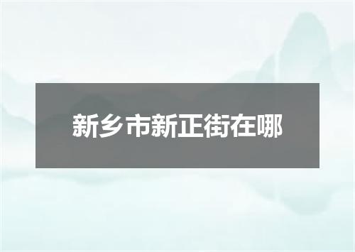 新乡市新正街在哪
