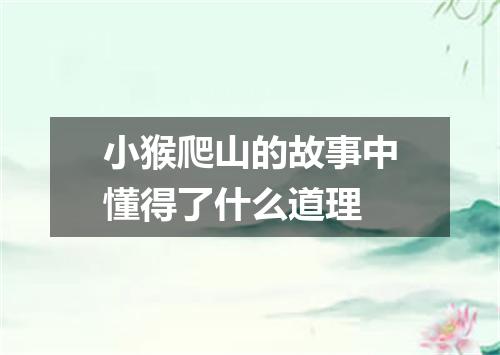 小猴爬山的故事中懂得了什么道理