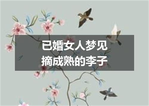 已婚女人梦见摘成熟的李子