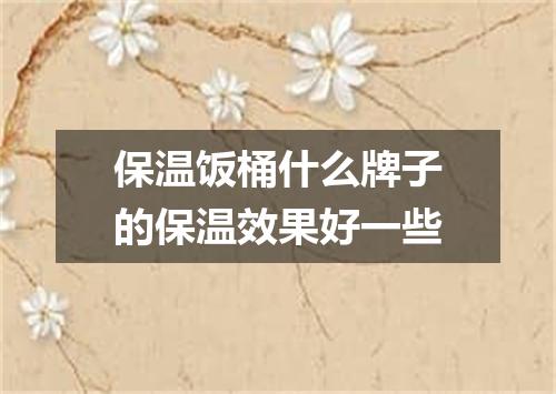 保温饭桶什么牌子的保温效果好一些