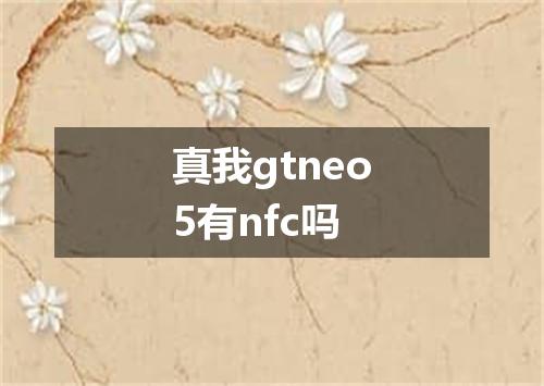真我gtneo5有nfc吗