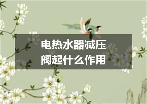 电热水器减压阀起什么作用