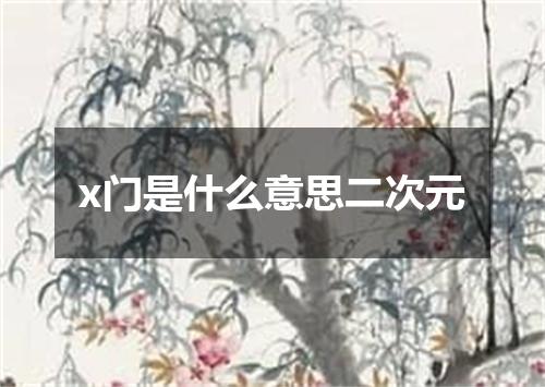x门是什么意思二次元