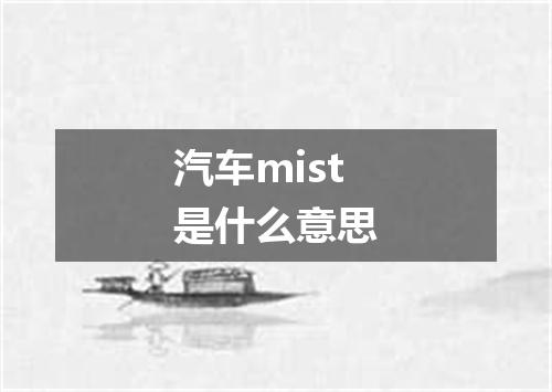 汽车mist是什么意思