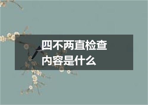 四不两直检查内容是什么