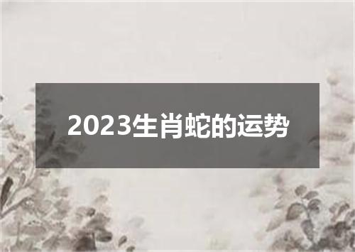 2023生肖蛇的运势