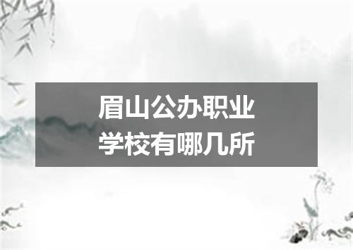 眉山公办职业学校有哪几所