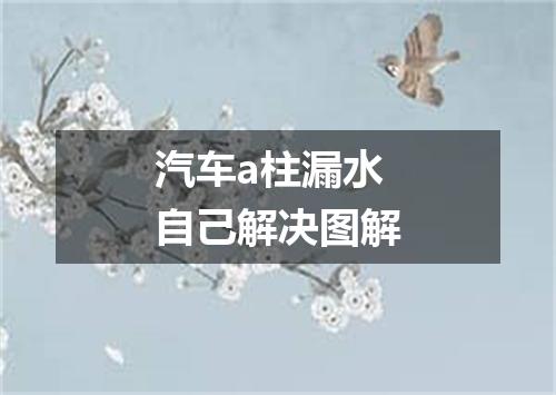 汽车a柱漏水自己解决图解