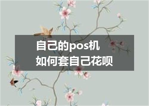 自己的pos机如何套自己花呗