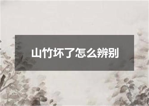 山竹坏了怎么辨别