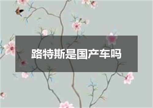 路特斯是国产车吗