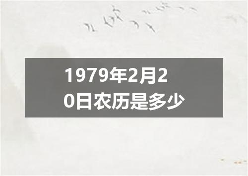1979年2月20日农历是多少