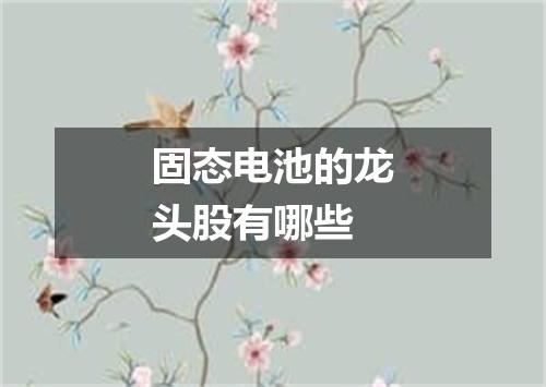 固态电池的龙头股有哪些