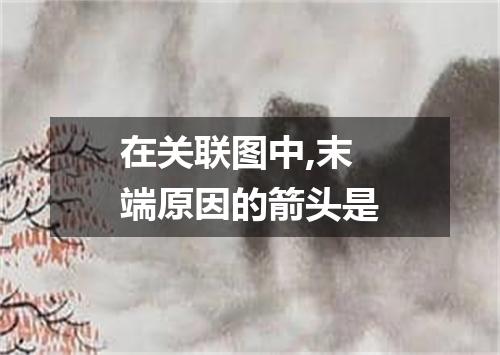 在关联图中,末端原因的箭头是