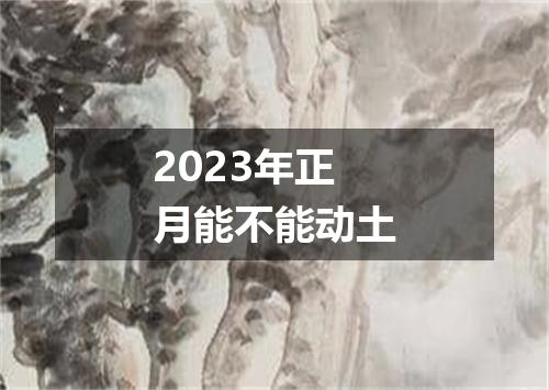 2023年正月能不能动土